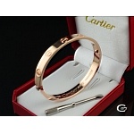 Cartier Bracelet/bangles in 68754