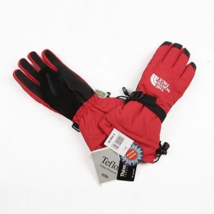 $25.00,The North Face Gloves in 73796