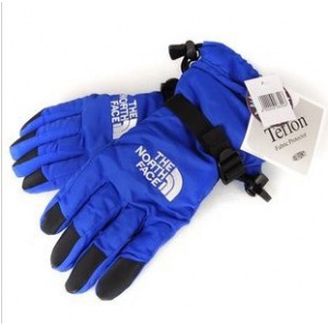 $25.00,The North Face Gloves in 73798
