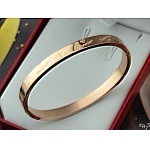 Cartier Bangle For Women in 88727