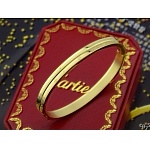 Cartier Bangle For Women in 88729