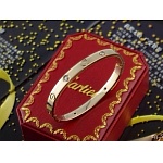 Cartier Bracelets For Women in 88730