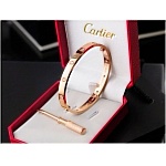 Cartier Bracelets in 133994