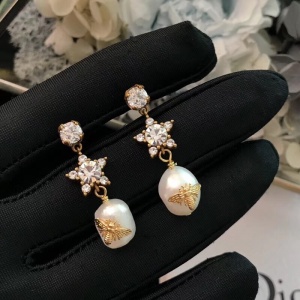 $37.00,2019 New Cheap AAA Quality Dior Earrings For Women # 197348