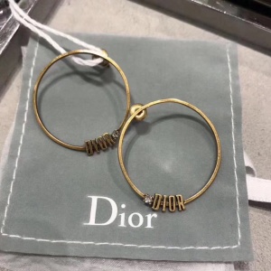 $39.00,2020 Cheap Dior Earrings For Women # 214888