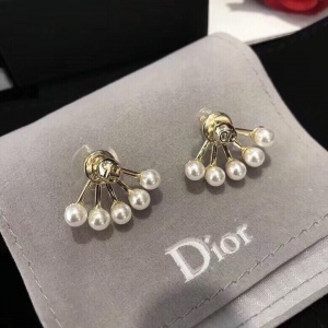 $39.00,2020 Cheap Dior Earrings For Women # 214900