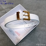 2020 Cheap YSL 2.5 cm Width Belts # 217955, cheap YSL Belts