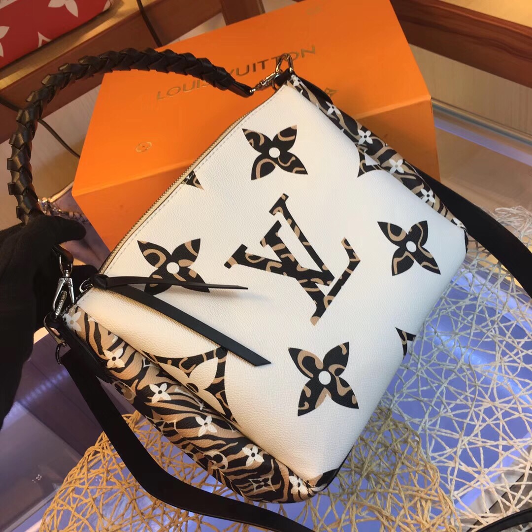 louis vuitton purse 2020