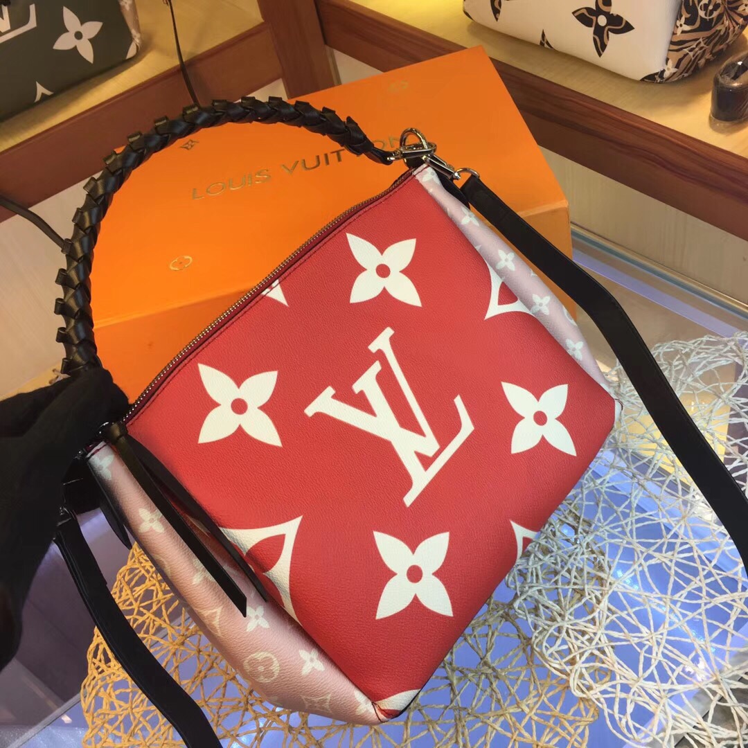 louis vuitton purse 2020