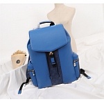 2020 Cheap Louis Vuitton Backpack # 224011