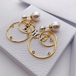 2020 Dior Earrings For Women # 231113