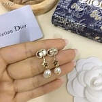 2020 Dior Earrings For Women # 231133, cheap Dior Earrings