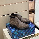 2021 Louis Vuitton Fleece Lined Boots For Men in 249089