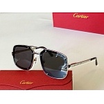 Cartier Sunglasses Unisex in 257752