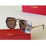 Cartier Sunglasses Unisex in 257753
