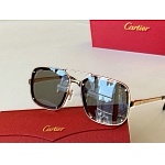 Cartier Sunglasses Unisex in 257755