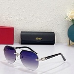 Cartier Sunglasses Unisex in 257772