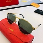 Cartier Sunglasses Unisex in 257853