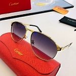 Cartier Sunglasses Unisex in 257855