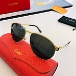 Cartier Sunglasses Unisex in 257857