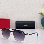 Cartier Sunglasses Unisex in 257859