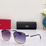 Cartier Sunglasses Unisex in 257860