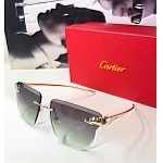Cartier Sunglasses Unisex in 257862