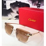 Cartier Sunglasses Unisex in 257863, cheap Cartier Sunglasses