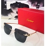 Cartier Sunglasses Unisex in 257866