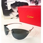 Cartier Sunglasses Unisex in 257867
