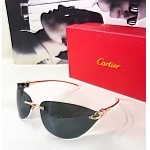 Cartier Sunglasses Unisex in 257869, cheap Cartier Sunglasses