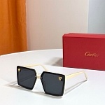 Cartier Sunglasses Unisex in 257936