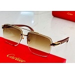 Cartier Sunglasses Unisex in 257937