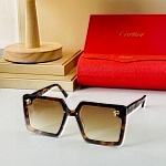 Cartier Sunglasses Unisex in 258089