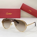 Cartier Sunglasses Unisex in 258116