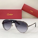 Cartier Sunglasses Unisex in 258117