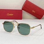 Cartier Sunglasses Unisex in 258122
