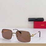 Cartier Sunglasses Unisex in 258133