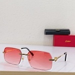 Cartier Sunglasses Unisex in 258134