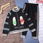 Gucci Tracksuits Unisex # 271909