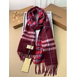 Burberry Cashmere Scarf  # 273828, cheap Burberry Scarves