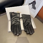 Dior Gloves For Women # 274197