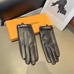 Louis Vuitton Gloves For Women # 274235