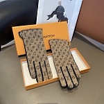 Louis Vuitton Gloves For Women # 274243, cheap Louis Vuitton Gloves
