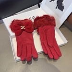 Celine Gloves For Women # 274261