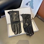 Celine Gloves For Women # 274264