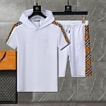 Burberry Tracksuits For Men # 275522
